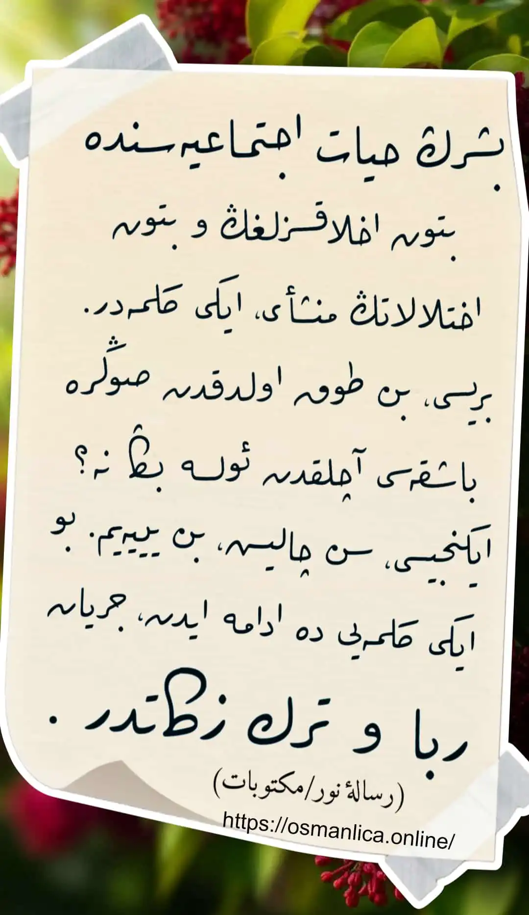 Vecize 