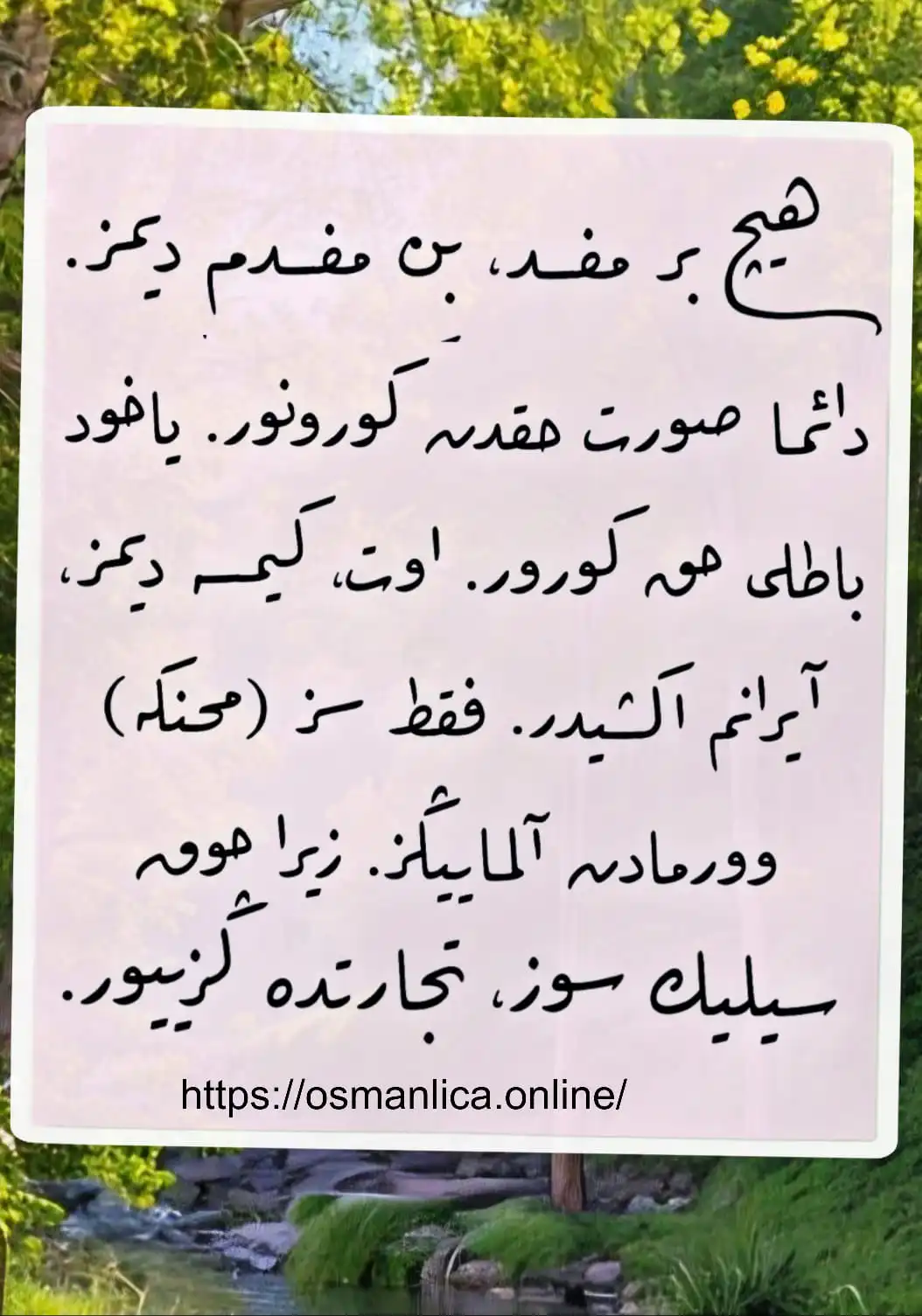Vecize 