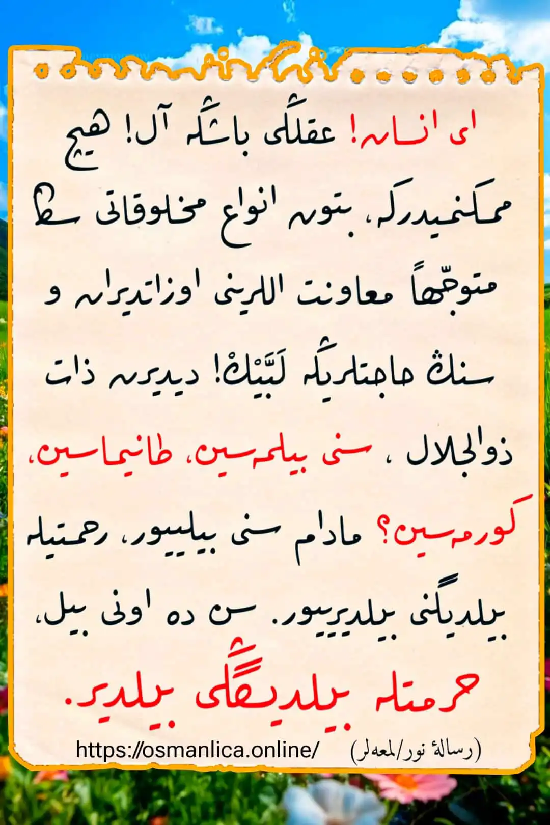 Vecize