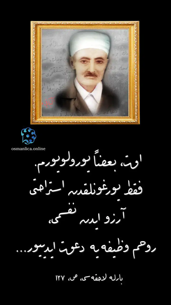 Vecize